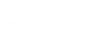 Tikatay Needlepoint - Home